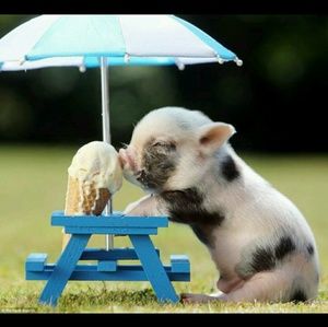 Meet your Posher, Monique